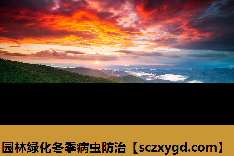 园林绿化冬季病虫防治