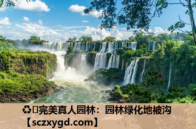 ♻️完美真人园林：园林绿化地被沟