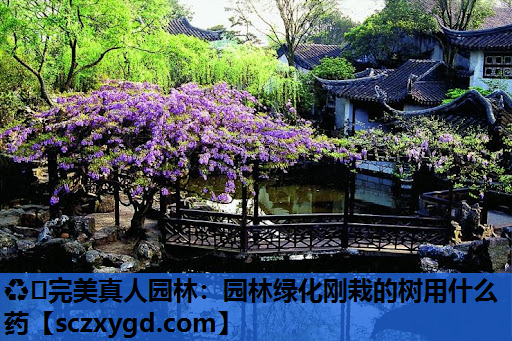 ♻️完美真人园林：园林绿化刚栽的树用什么药