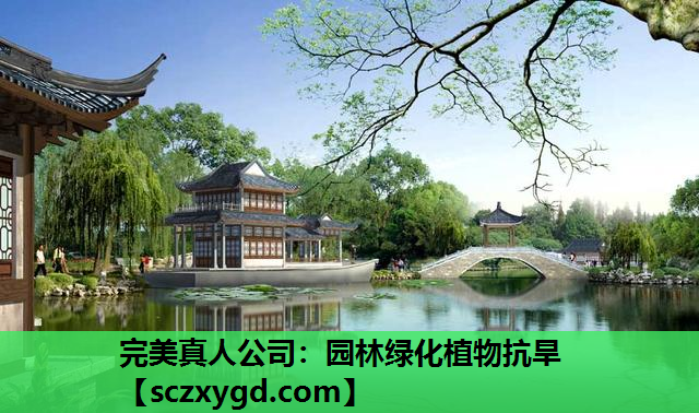 完美真人公司：园林绿化植物抗旱