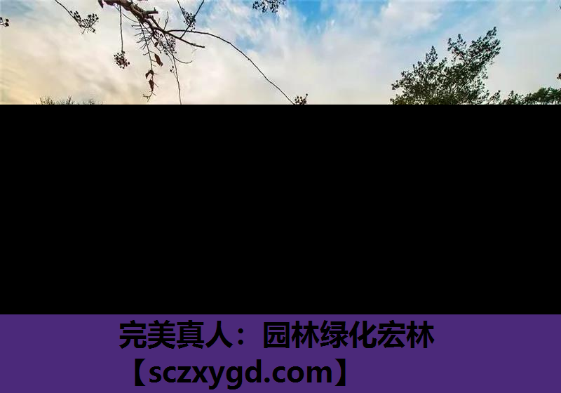 完美真人：园林绿化宏林
