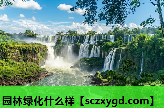 园林绿化什么样