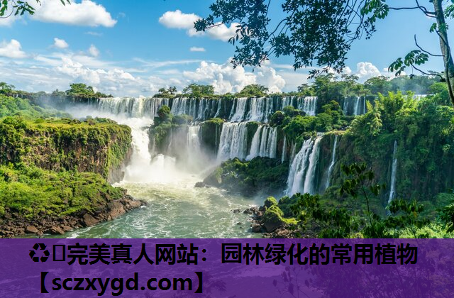 ♻️完美真人网站：园林绿化的常用植物