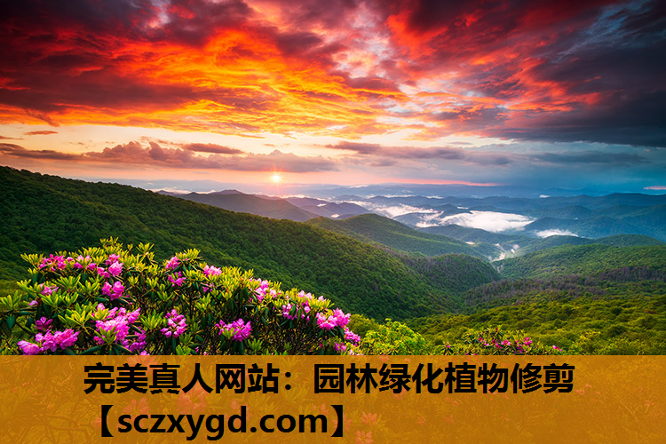 完美真人网站：园林绿化植物修剪