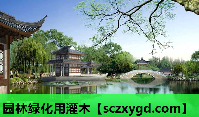 园林绿化用灌木