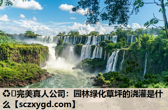 ♻️完美真人公司：园林绿化草坪的浇灌是什么