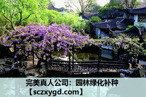 完美真人公司：园林绿化补种