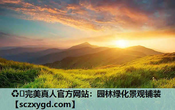 ♻️完美真人官方网站：园林绿化景观铺装