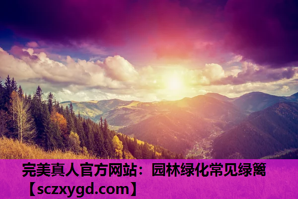 完美真人官方网站：园林绿化常见绿篱