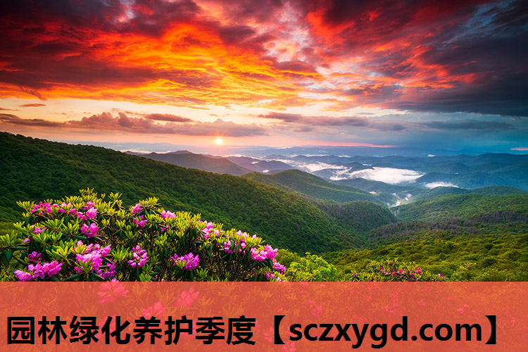 园林绿化养护季度
