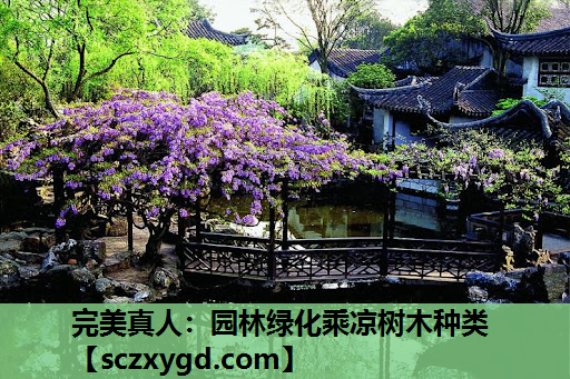 完美真人：园林绿化乘凉树木种类