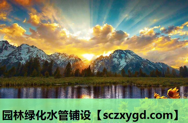 园林绿化水管铺设