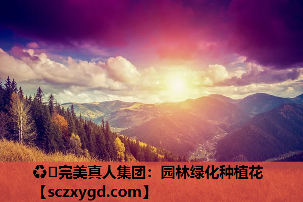 ♻️完美真人集团：园林绿化种植花