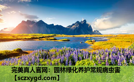 园林绿化养护常规病虫害