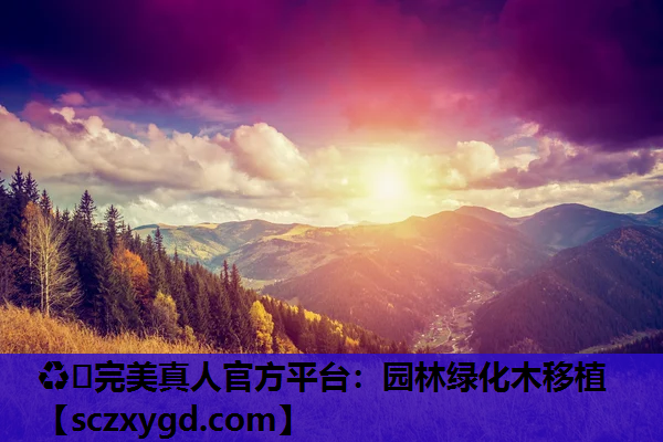 园林绿化木移植 园林绿化木移植