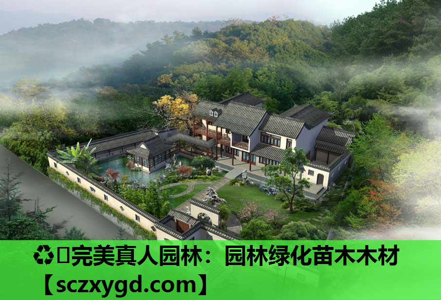 园林绿化苗木木材