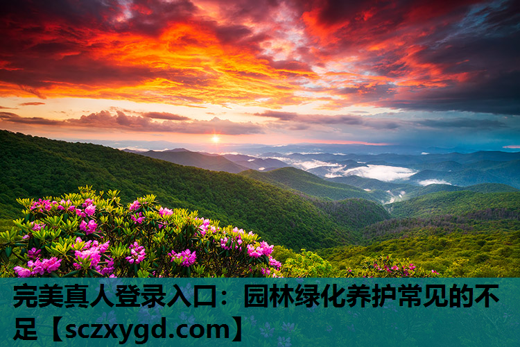 园林绿化养护常见的不足