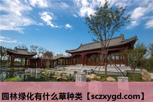 园林绿化有什么草种类