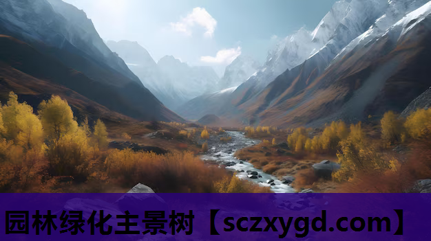 园林绿化主景树