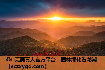园林绿化看龙湖