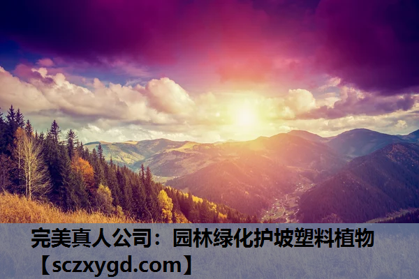 园林绿化护坡塑料植物