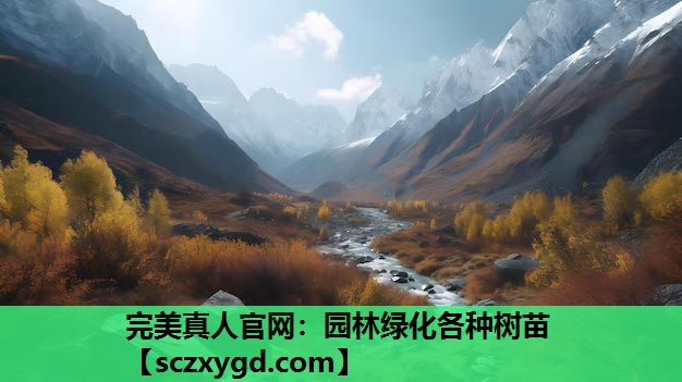 园林绿化各种树苗