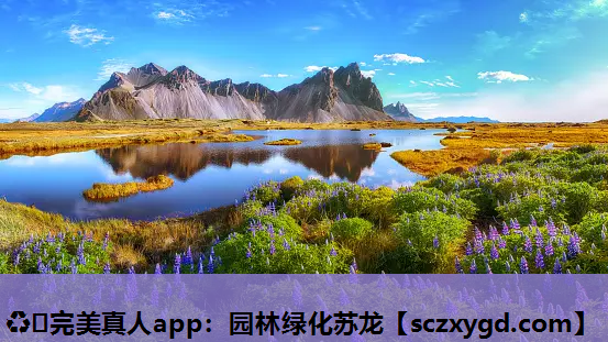 园林绿化苏龙