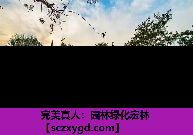 园林绿化宏林