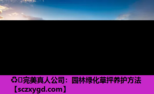 园林绿化草抨养护方法