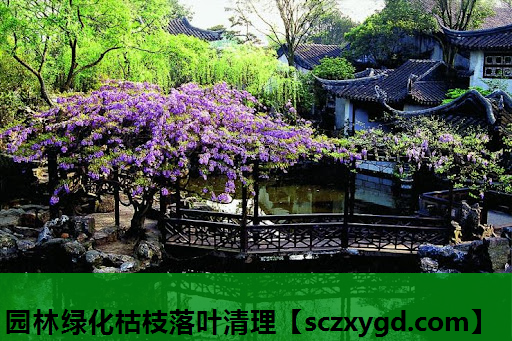 园林绿化枯枝落叶清理