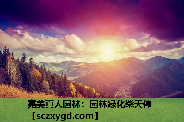 园林绿化柴天伟