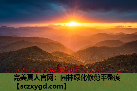 园林绿化修剪平整度