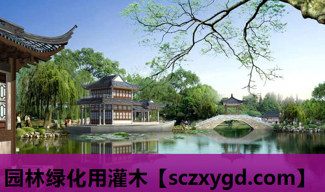 园林绿化用灌木