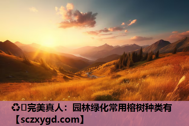 园林绿化常用榕树种类有