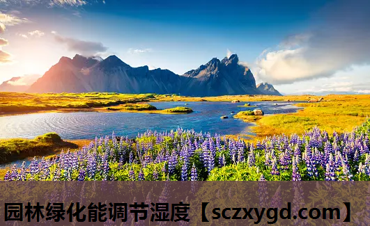 园林绿化能调节湿度
