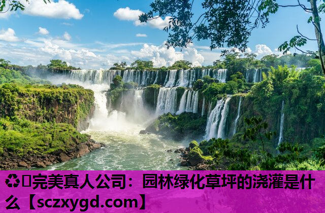 园林绿化草坪的浇灌是什么