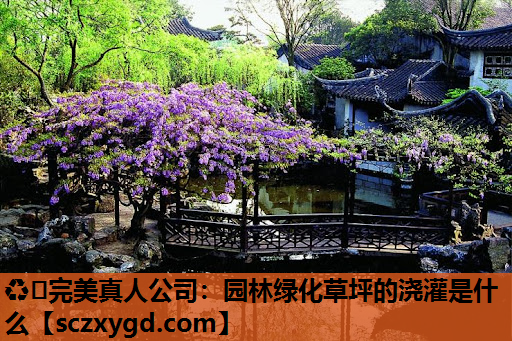 园林绿化草坪的浇灌是什么