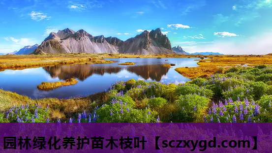 园林绿化养护苗木枝叶