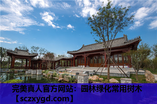 园林绿化常用树木